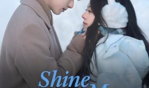 Official Poster Shine On Me