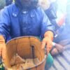 Hari Lingkungan Hidup 2026: Nasib Lebah Hutan Jadi Perhatian